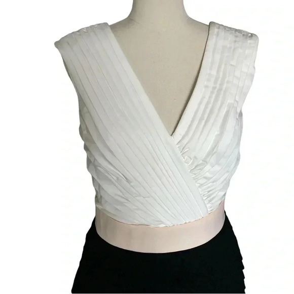 TADASHI SHOJI | Pleated Ivory/Black Sleeveless Crepe Midi Sheath Dress Size 6 - Picture 6 of 12